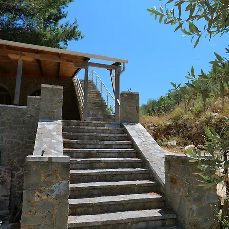 Green Villa شقة *